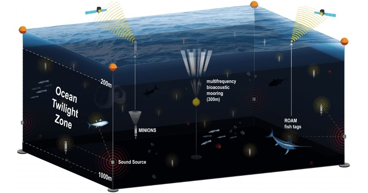 New Observation Network Giving Insight to the Ocean Twilight Zone