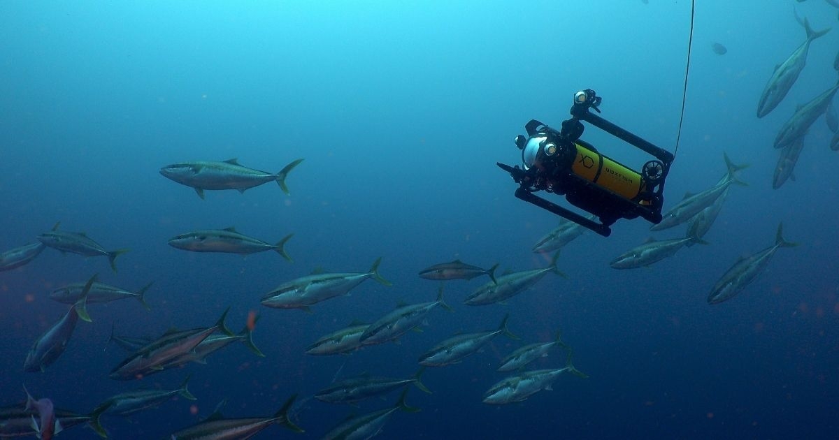 Boxfish Luna, the Next-Generation Underwater Cinematography Drone