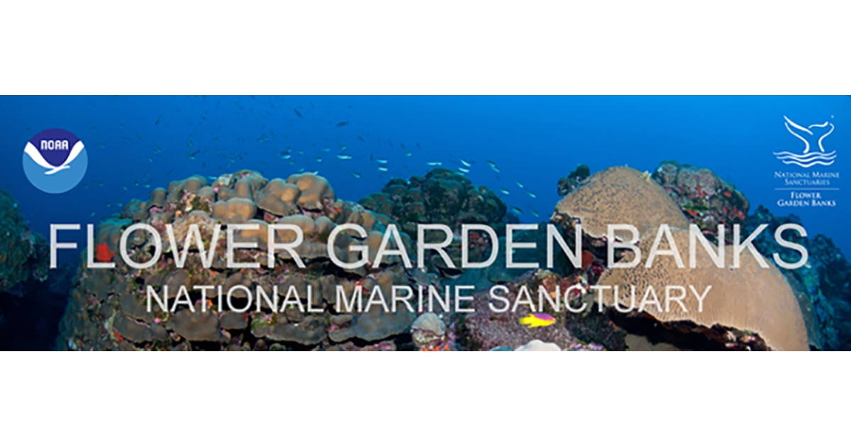 Flower Garden Banks National Marine Sanctuary: New Reports Available