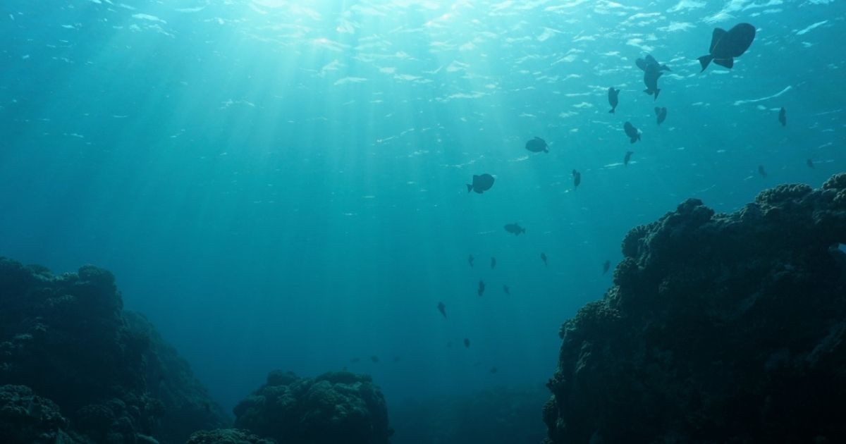 Hidden Depths: Unlocking Our Oceans’ Hydrographic Data