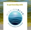 Mission Blue Join Forces with ECO Magazine to Publish Special Issue on Marine Pollution