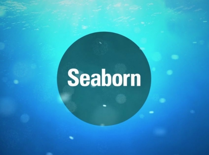 Seaborn Networks Appoints General Counsel and CFO