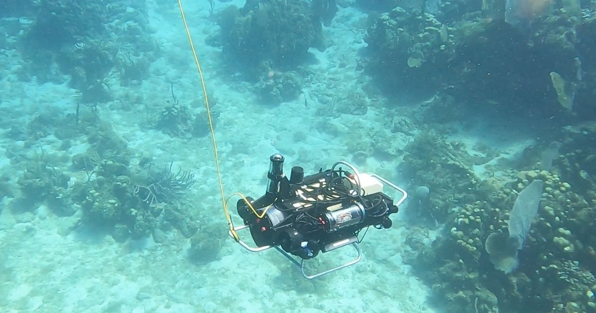 WHOI Receives Grant for Curious Robot to Study Coral Reef Ecosystems