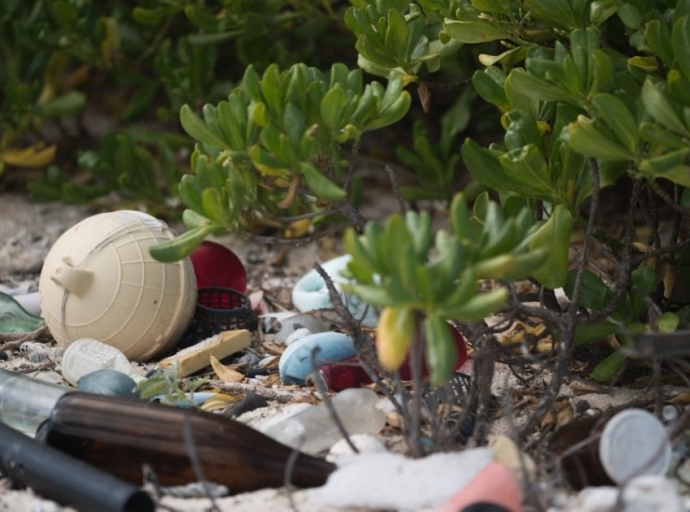 New Organization to Tackle the Challenges of Marine Debris