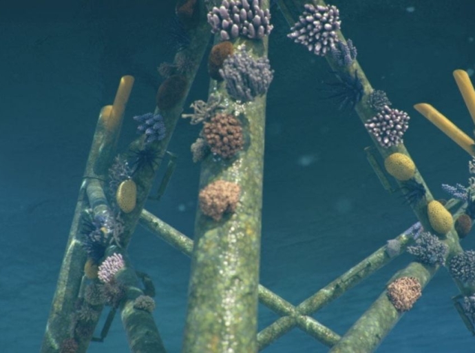 Ørsted Trials Turning Offshore Wind Turbine Foundations into Safe Havens for Corals