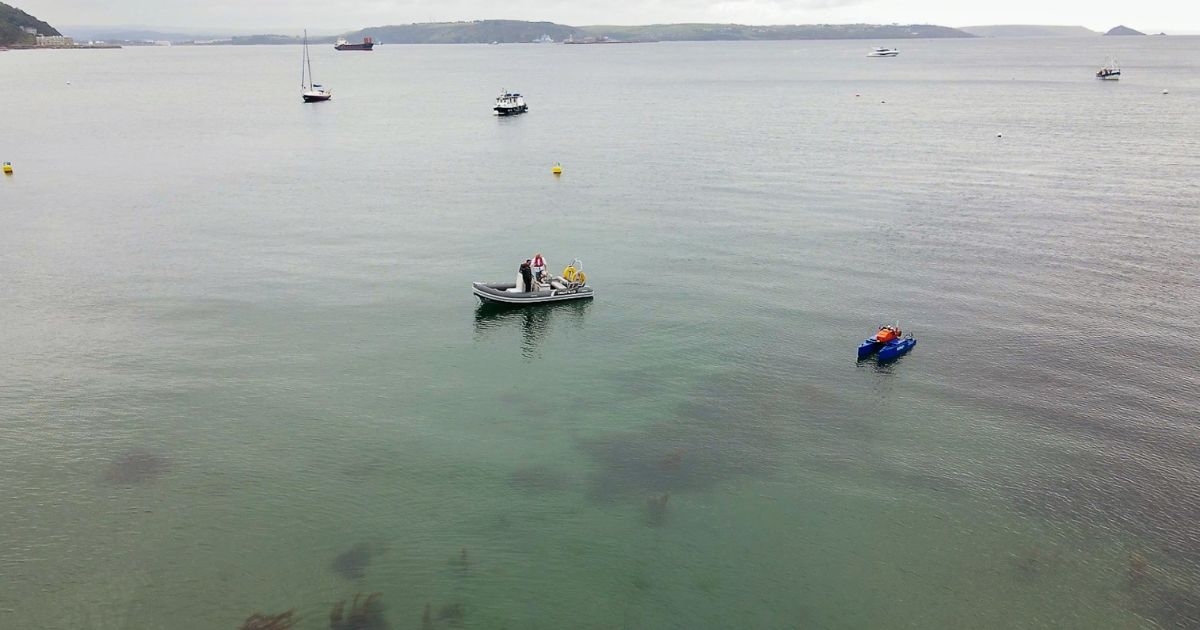 Collaboration to Develop Enhanced Solutions for Seagrass Monitoring in South West England