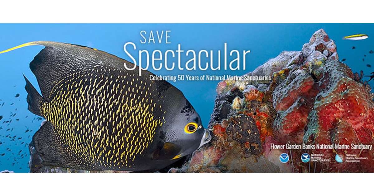National Marine Sanctuaries Celebrate 50 Years of Ocean Conservation