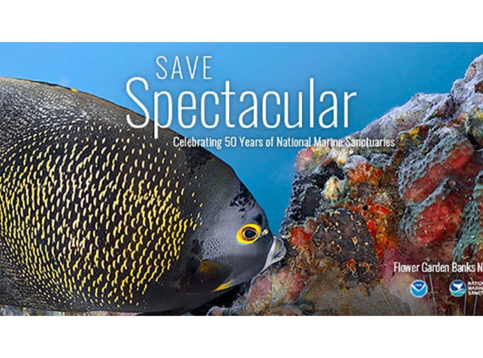 National Marine Sanctuaries Celebrate 50 Years of Ocean Conservation