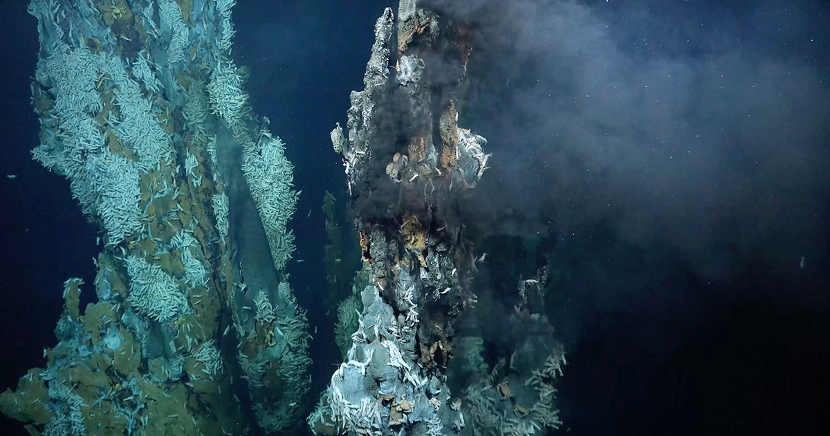 Scientists Discover Three New Hydrothermal Vent Fields on Mid-Atlantic Ridge