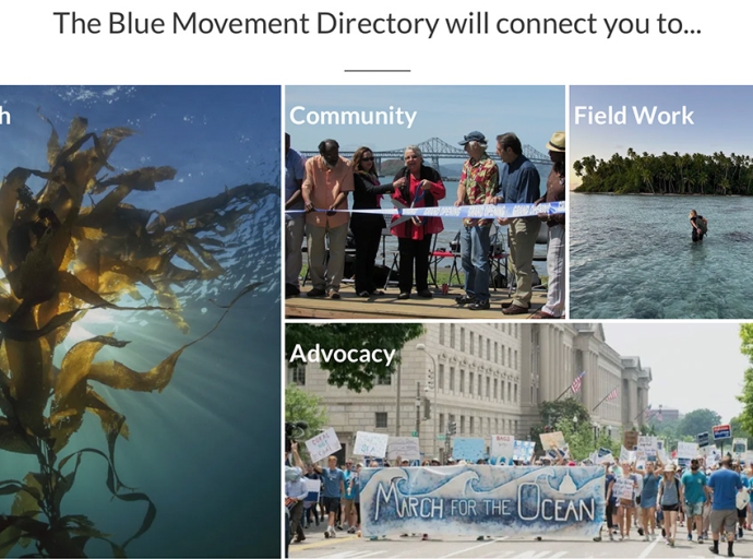 Blue Movement Directory – A Powerful New Tool for Ocean Action