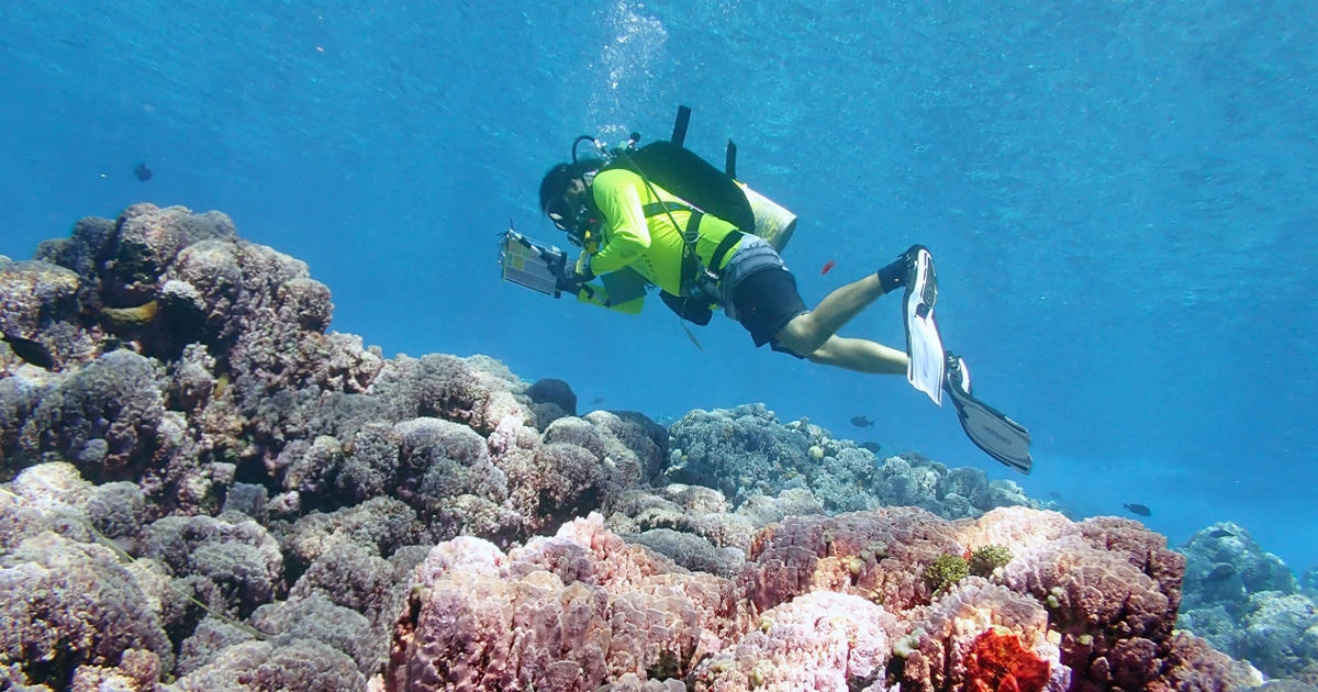 NOAA Unveils New Tool for Exploring Coral Reef Data