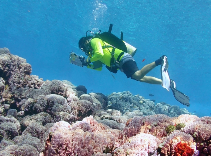 NOAA Unveils New Tool for Exploring Coral Reef Data