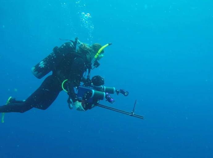 Jet-Propelled Sea Creatures Could Improve Ocean Robotics