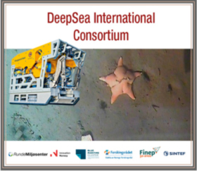 DeepSeaIntl.Consortium
