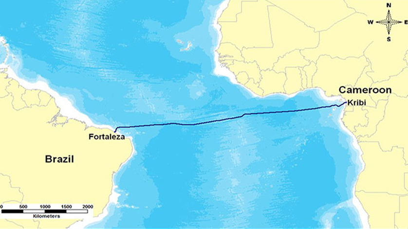 South Atlantic Inter Link (SAIL) to Establish New Internet Route, Subsea  Cable