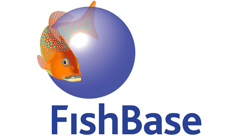 FishBase, The World's Largest Information Portal for Marine Organisms | Science & Tech | News