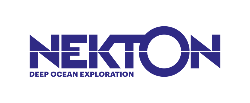 Nekton logo blue
