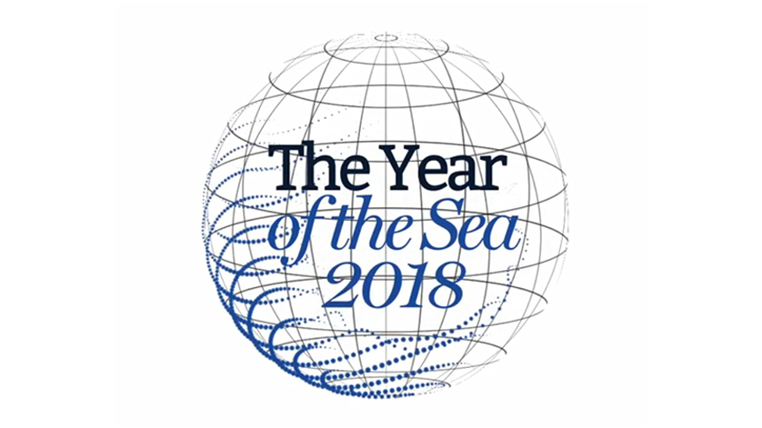3 year of sea logo