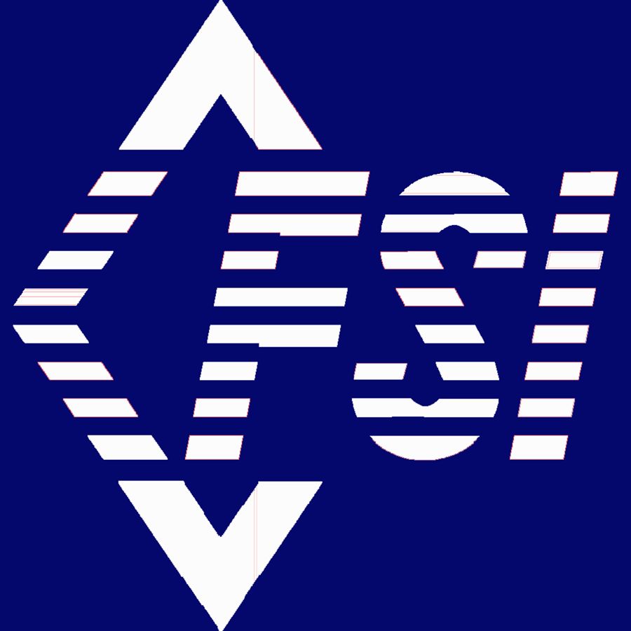 FSI Logo white on blue