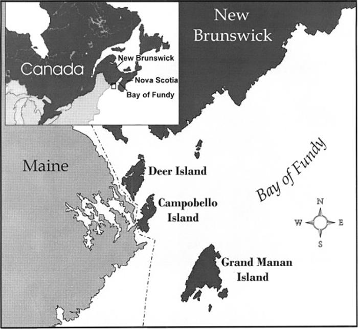 Map of Grand Manan and Deer Island Bay of Fundy New Brunswick.png