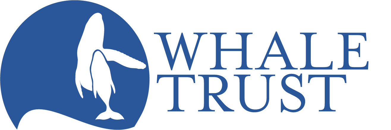 Whale Trust Logo Horizontal
