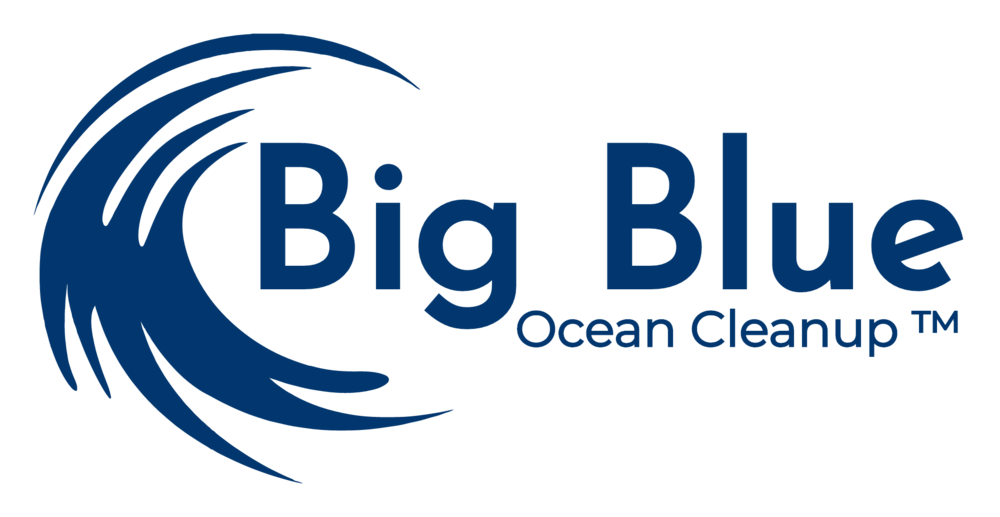 3 BigBlue logo